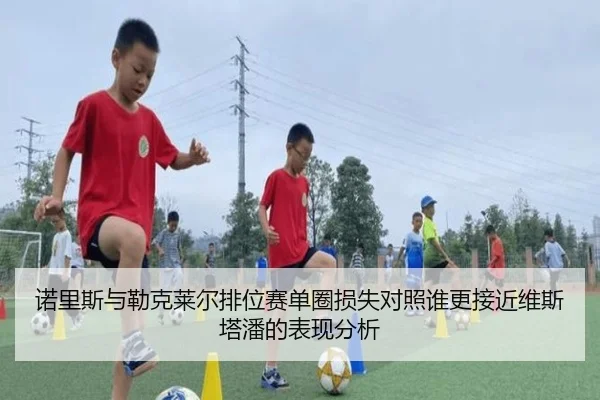 诺里斯与勒克莱尔排位赛单圈损失对照谁更接近维斯塔潘的表现分析